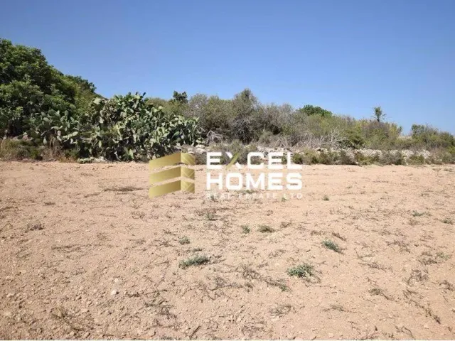 Proprjetà f' Żebbuġ
