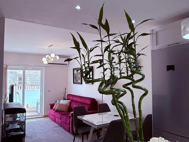 Property at Rabat