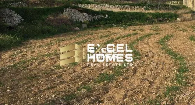 Proprjetà f' Żebbuġ
